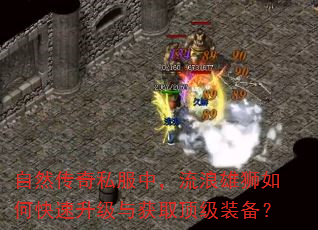 自然传奇私服中,流浪雄狮如何快速升级与获取顶级装备? 自然传奇私服中,流浪雄狮如何快速升级与获取顶级装备?