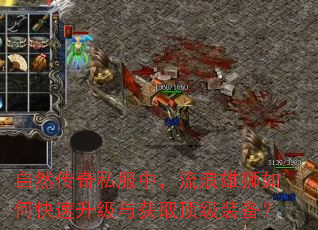 自然传奇私服中,流浪雄狮如何快速升级与获取顶级装备? 自然传奇私服中,流浪雄狮如何快速升级与获取顶级装备?