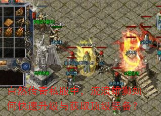 自然传奇私服中,流浪雄狮如何快速升级与获取顶级装备? 自然传奇私服中,流浪雄狮如何快速升级与获取顶级装备?