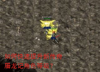 如何快速提升新传奇屠龙记角色等级? 如何快速提升新传奇屠龙记角色等级?