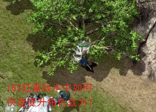185狂雷版本中如何快速提升角色战力? 185狂雷版本中如何快速提升角色战力?