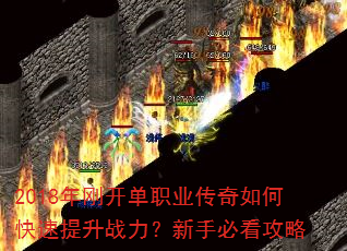 2018��տ���ְҵ������ο�������ս�������ֱؿ�����
