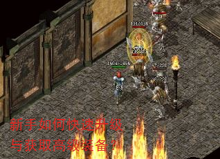 新手如何快速升级与获取高级装备? 新手如何快速升级与获取高级装备?