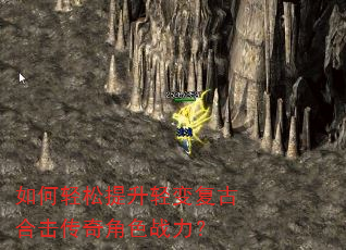 �������������临�źϻ������ɫս����