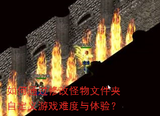 ���ͨ���޸Ĺ����ļ����Զ�����Ϸ�Ѷ������飿