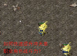 ��ο����������쵥ְҵ��ɫս������