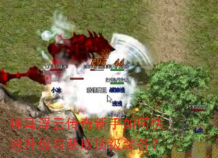 神马浮云传奇新手如何快速升级与获取顶级装备? 神马浮云传奇新手如何快速升级与获取顶级装备?