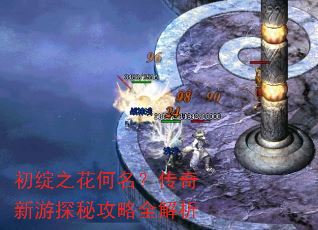 初绽之花何名?传奇新游探秘攻略全解析 初绽之花何名?传奇新游探秘攻略全解析