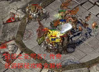初绽之花何名?传奇新游探秘攻略全解析 初绽之花何名?传奇新游探秘攻略全解析