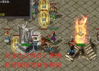 初绽之花何名?传奇新游探秘攻略全解析 初绽之花何名?传奇新游探秘攻略全解析