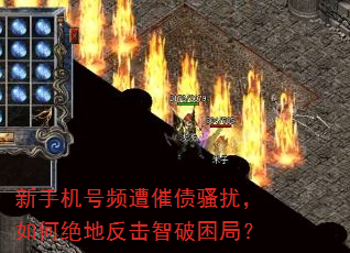 新手机号频遭催债骚扰,如何绝地反击智破困局? 新手机号频遭催债骚扰,如何绝地反击智破困局?