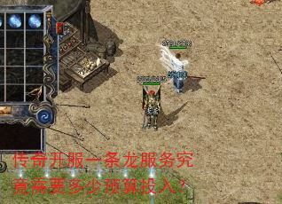 传奇开服一条龙服务究竟需要多少预算投入? 传奇开服一条龙服务究竟需要多少预算投入?
