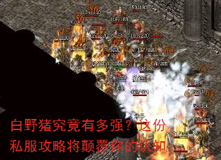 白野猪究竟有多强?这份私服攻略将颠覆你的认知 白野猪究竟有多强?这份私服攻略将颠覆你的认知