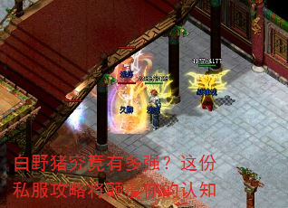 白野猪究竟有多强?这份私服攻略将颠覆你的认知 白野猪究竟有多强?这份私服攻略将颠覆你的认知