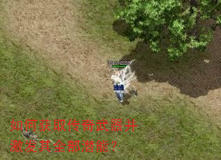 如何获取传奇武器并激发其全部潜能? 如何获取传奇武器并激发其全部潜能?