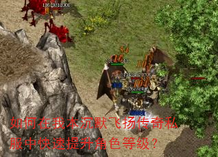 如何在我本沉默飞扬传奇私服中快速提升角色等级? 如何在我本沉默飞扬传奇私服中快速提升角色等级?