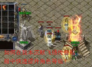 如何在我本沉默飞扬传奇私服中快速提升角色等级? 如何在我本沉默飞扬传奇私服中快速提升角色等级?